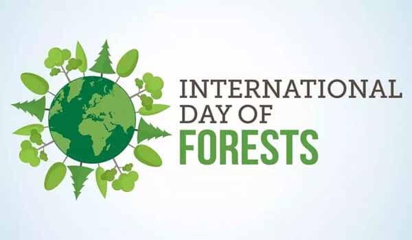 Each year on 21st March International Day of Forests celebrated